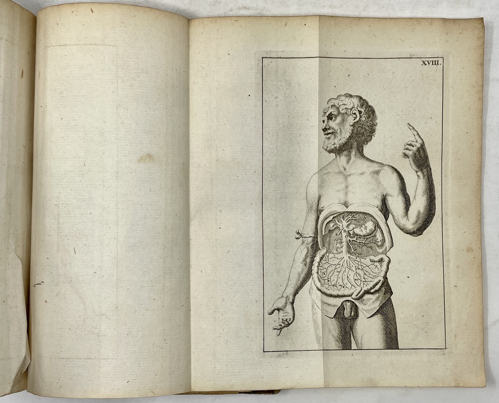 解剖学図表（ターヘルアナトミア）』 - 青羽古書店 AOBANE Antiquarian 
